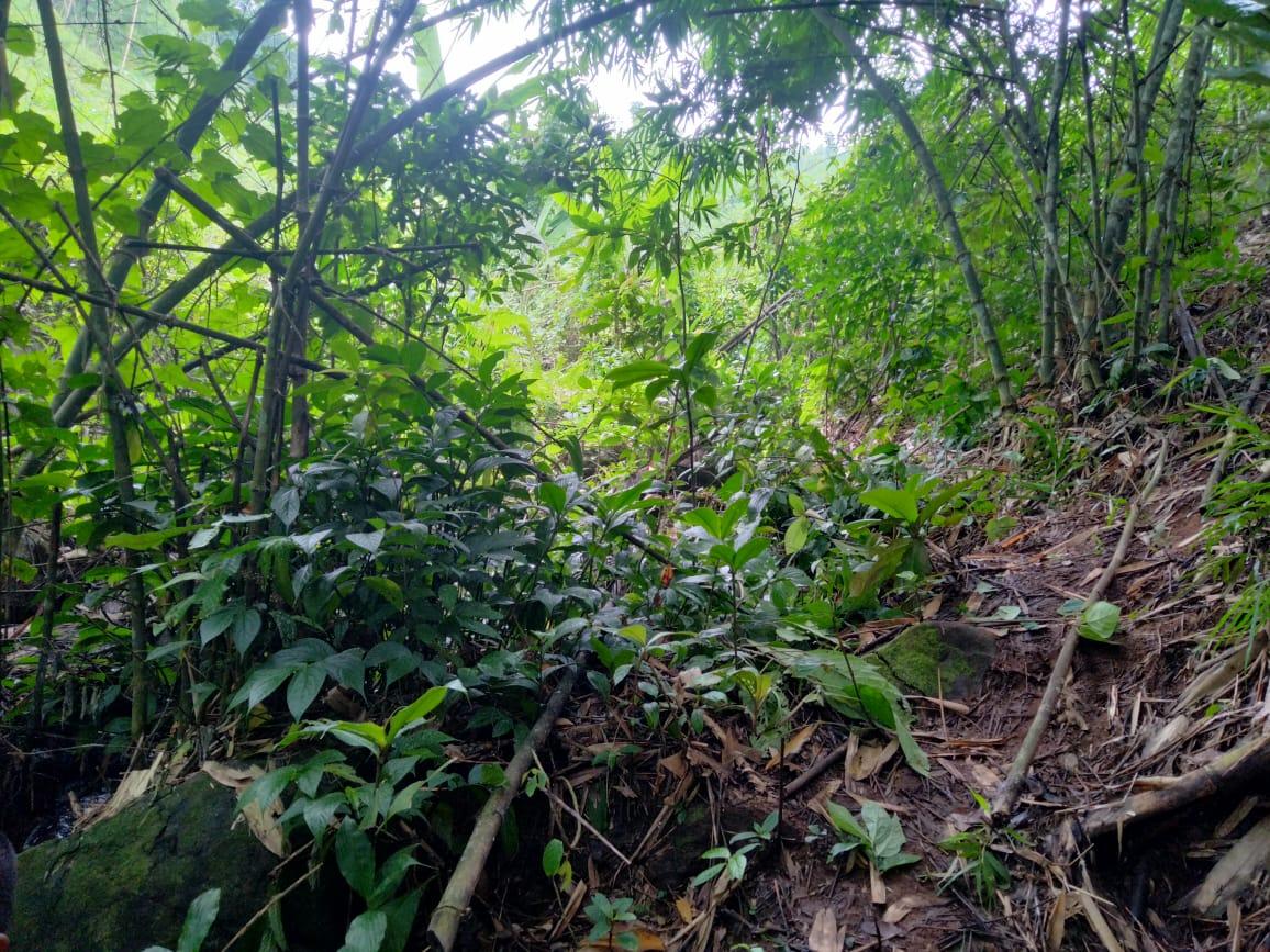 C:\Users\Lavinia Pde\Downloads\WhatsApp Image 2023-03-29 at 17.32.26.jpeg